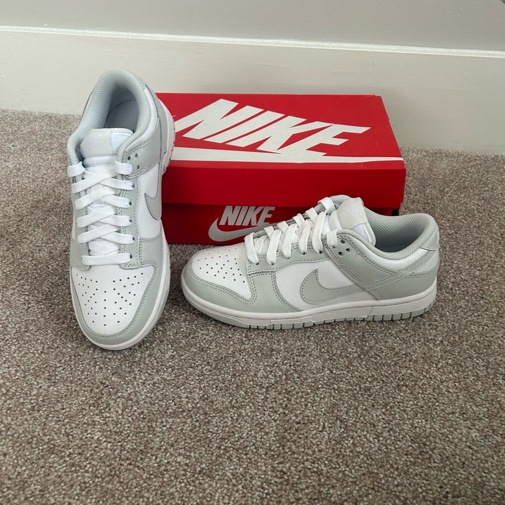 Nike Dunks Low